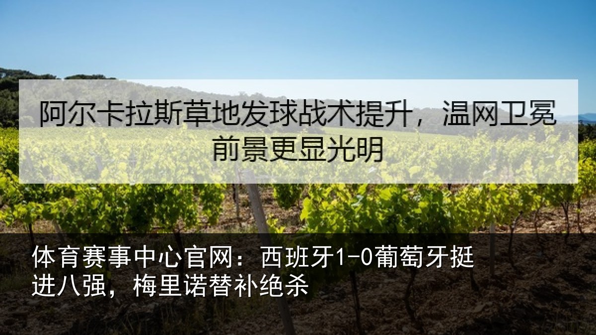 体育赛事中心官网：西班牙1-0葡萄牙挺进八强，梅里诺替补绝杀